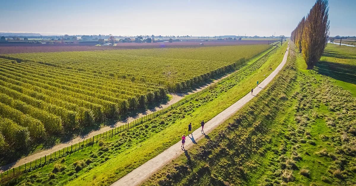 ASICS Runaway Hawke's Bay Marathon 2026