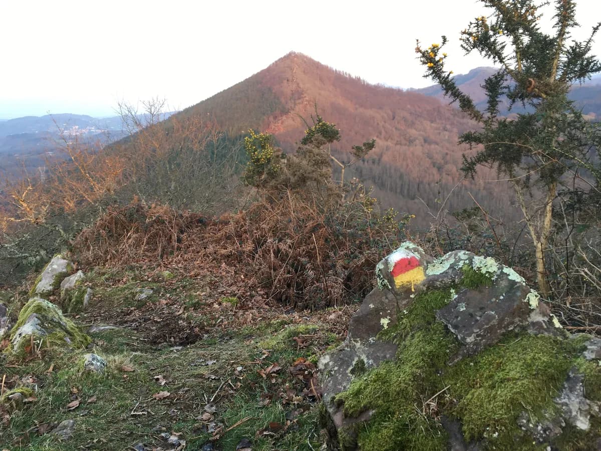 Ereñotzu Mendi Lasterketa