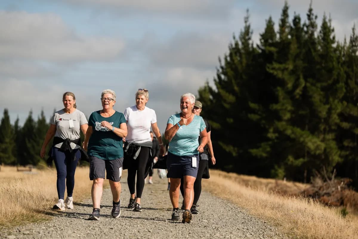 Mcleans Forest Trail