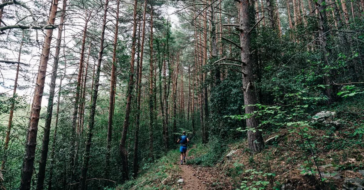 Moncayo Trail Barranco Horcajuelo 44K