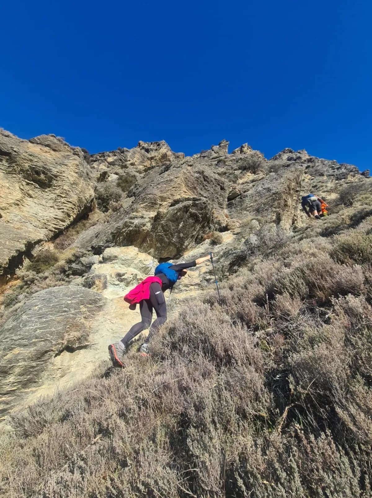 Mt Difficulty Ascent & Rustic Run