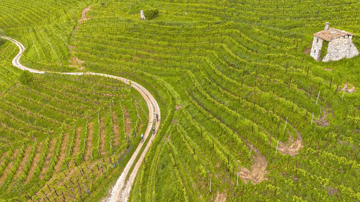 Nova Eroica Prosecco Hills