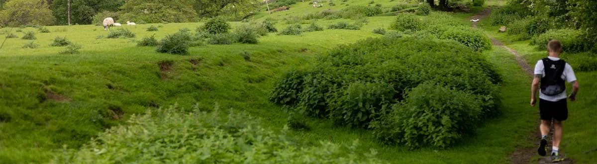 Piglove by the River 10km & 5km