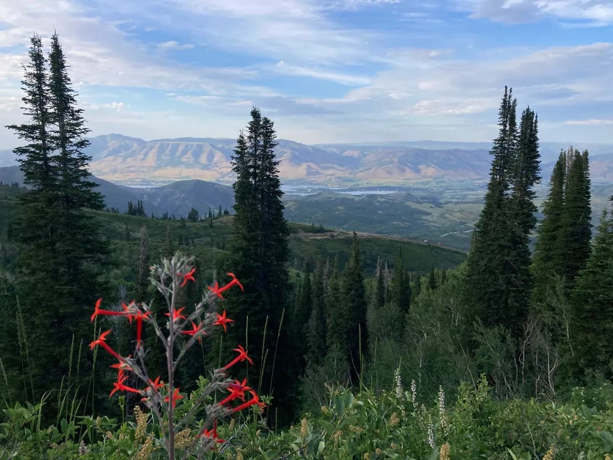 Snowbasin By UTMB 50K