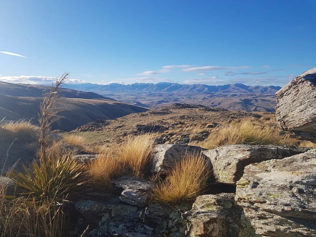 Southern Lakes Half Marathon & 10K