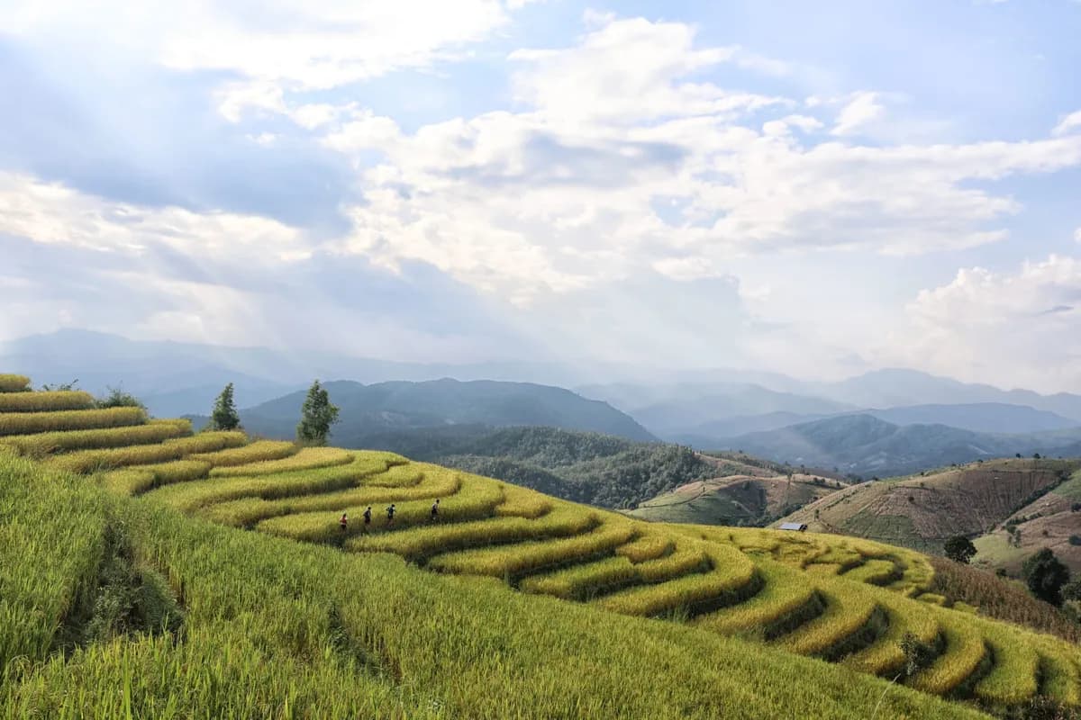 Thailand By UTMB 170K