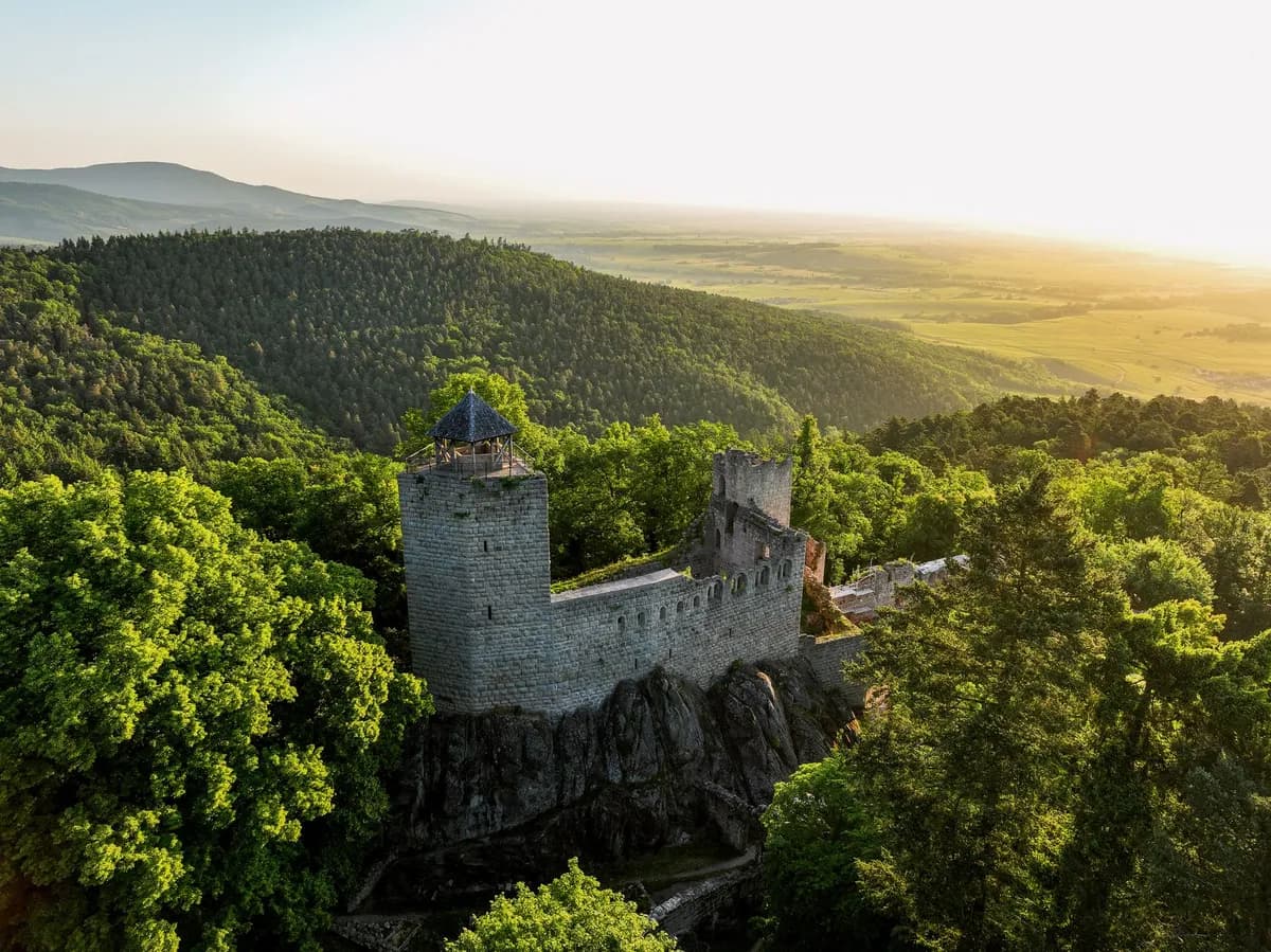 Trail Alsace Grand Est by Utmb®