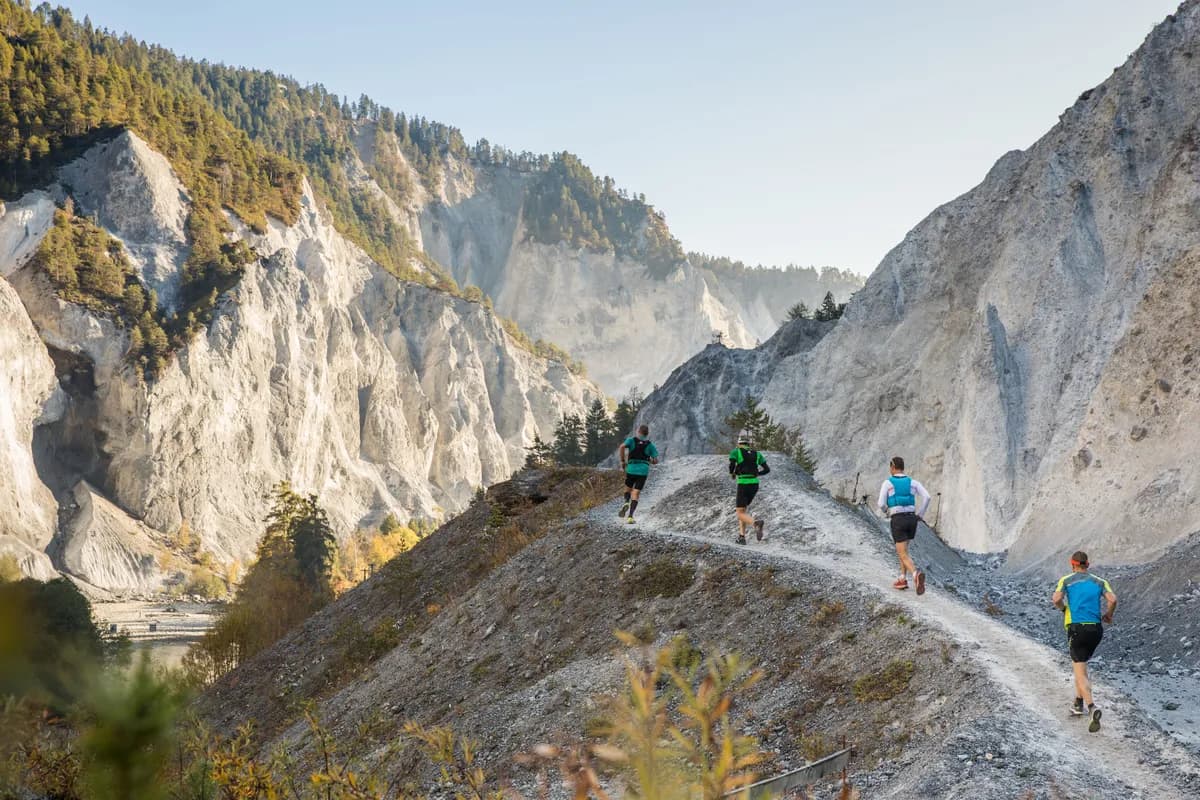 Transviamala 65K 2026